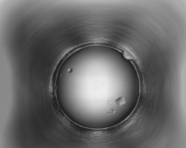 X0000095900883200801181243