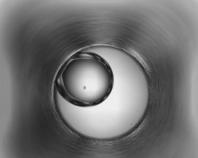 X0000095900884200801181243