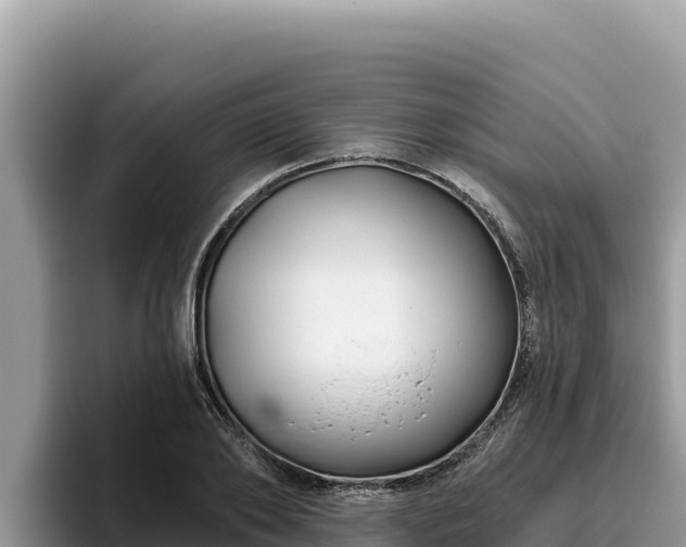 X0000095900886200801181243