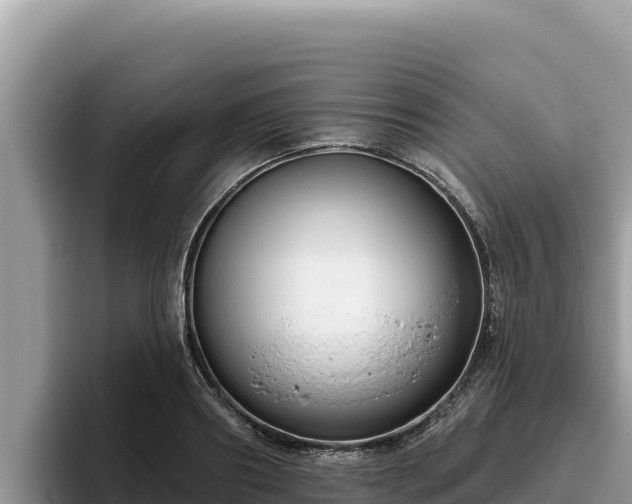 X0000095900890200801181243