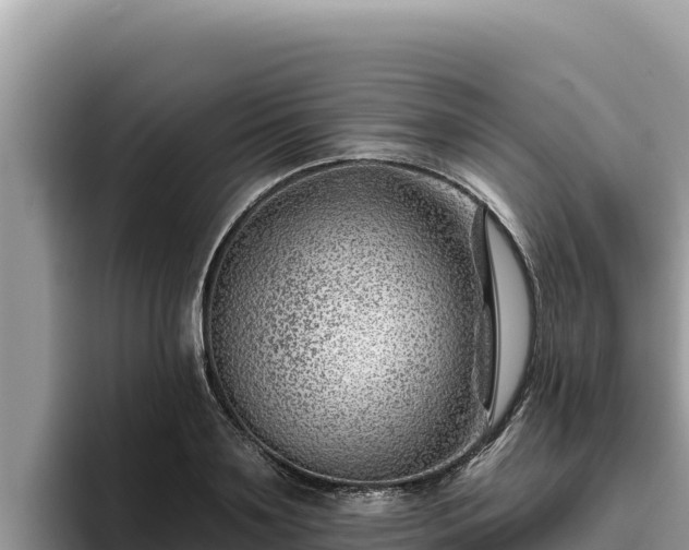 X0000095900891200801181243