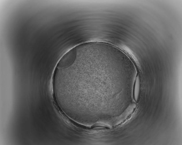 X0000095900892200801181243