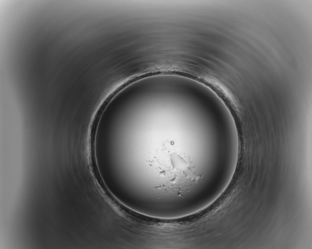 X0000095900894200801181243