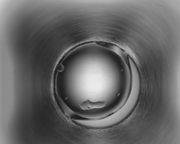 X0000095900896200801181243