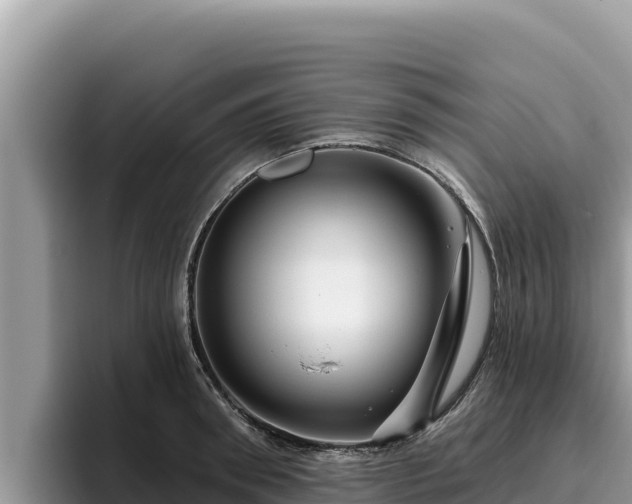 X0000095900898200801181243