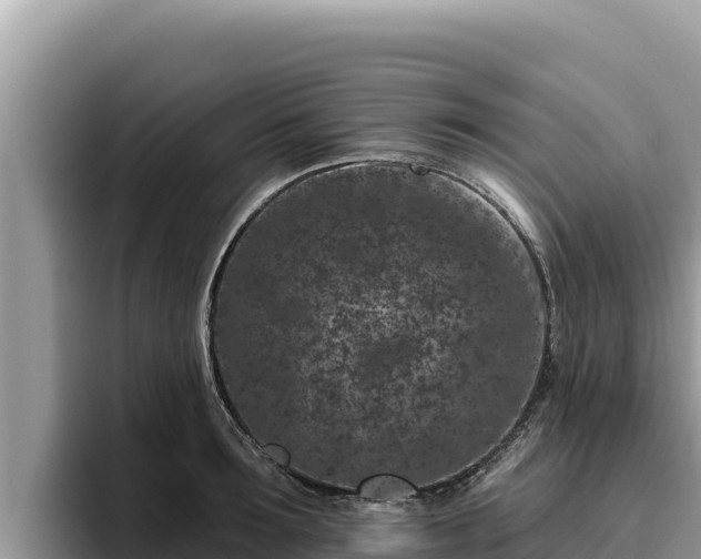 X0000095900899200801181243