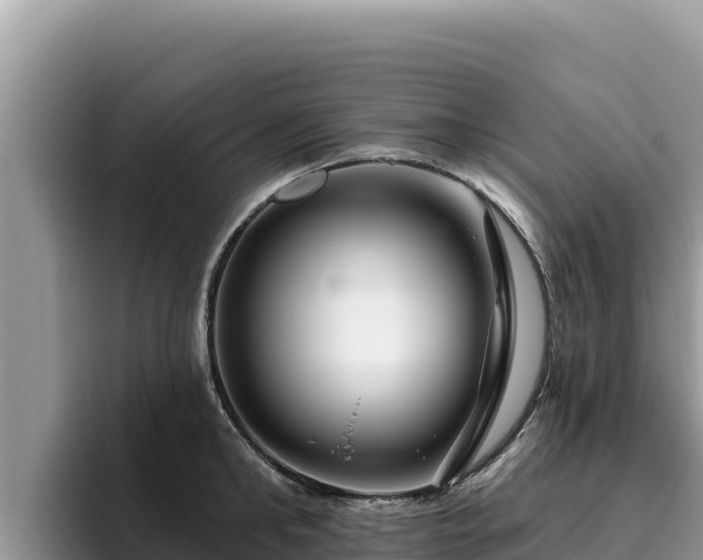 X0000095900902200801181243