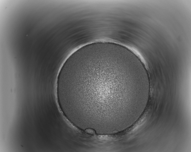 X0000095900903200801181243