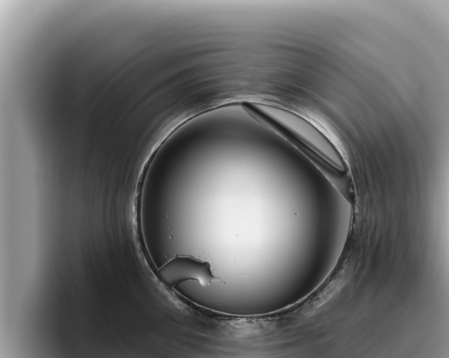 X0000095900906200801181243