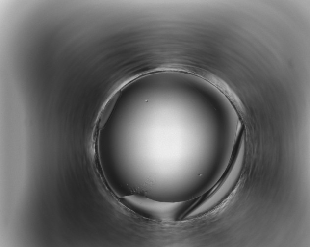 X0000095900908200801181243