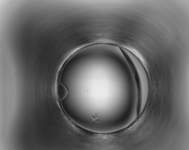 X0000095900910200801181243