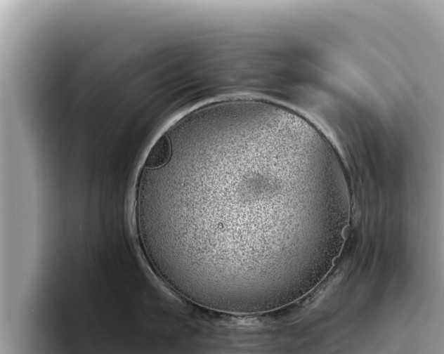 X0000095900911200801181243