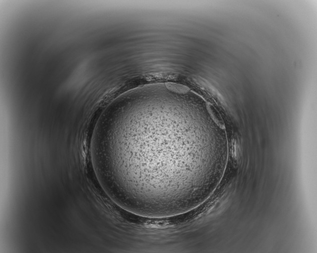 X0000095900915200801181243