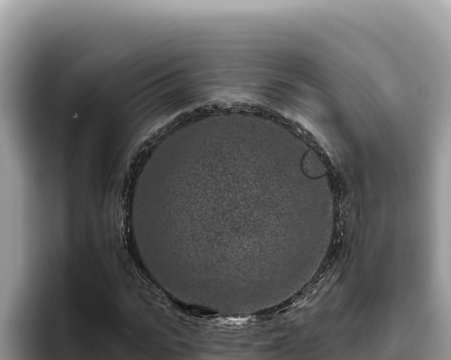 X0000095900919200801181243