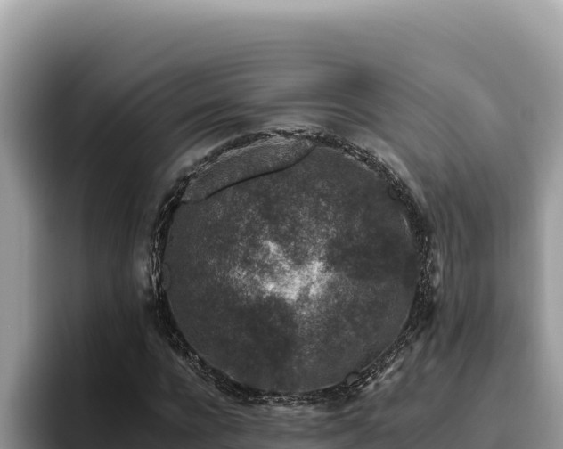 X0000095900920200801181243