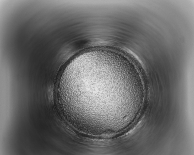 X0000095900921200801181243