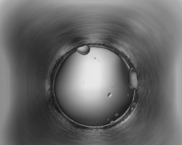 X0000095900922200801181243