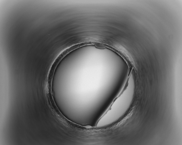 X0000095900924200801181243