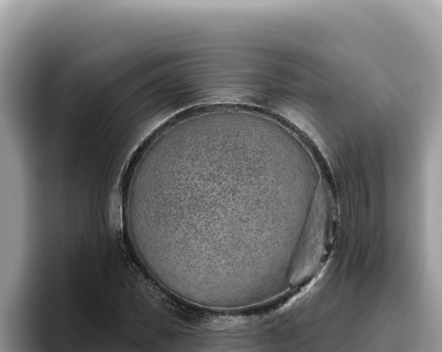 X0000095900925200801181243