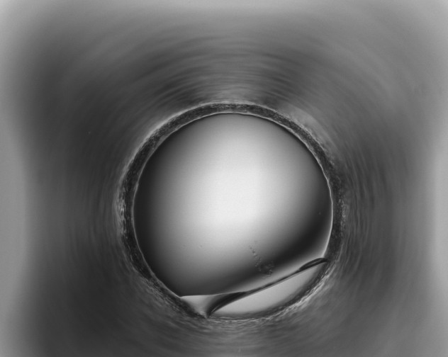 X0000095900926200801181243