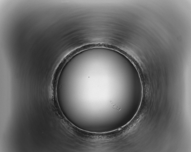 X0000095900927200801181243