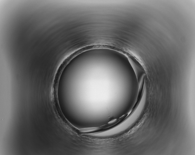 X0000095900928200801181243