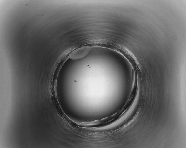 X0000095900930200801181243