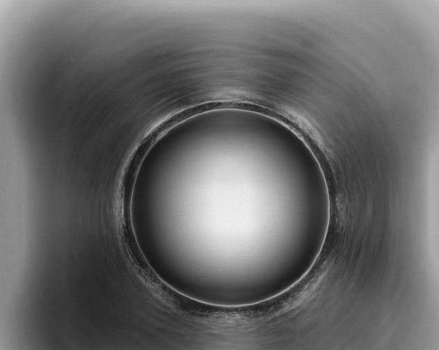 X0000095900931200801181243