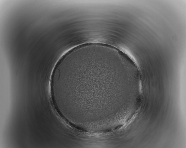 X0000095900932200801181243