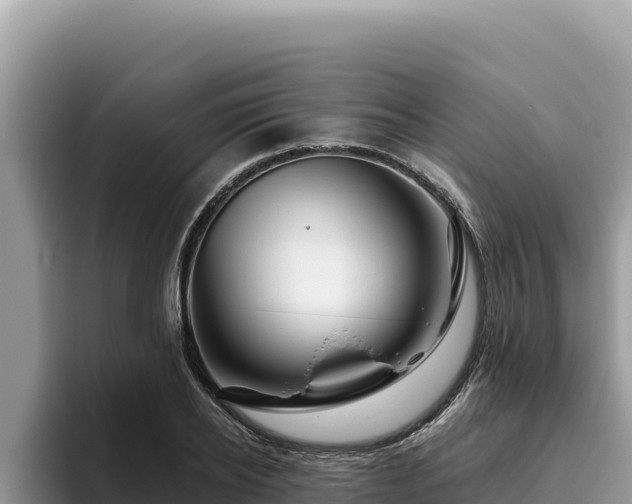 X0000095900934200801181243