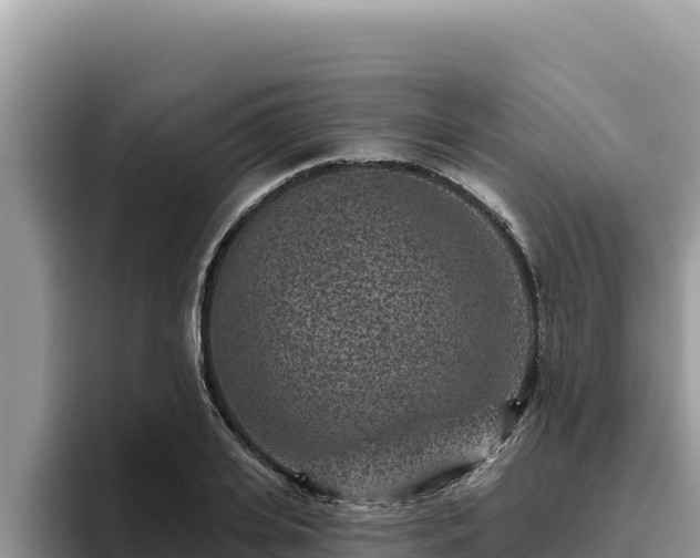 X0000095900935200801181243