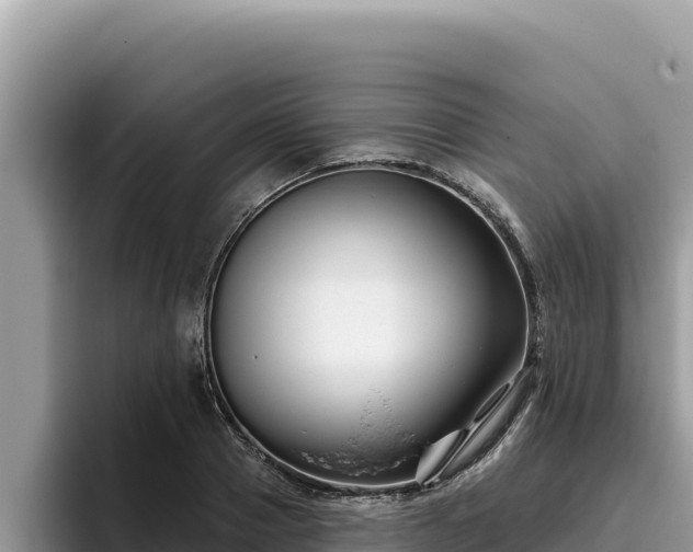 X0000095900937200801181243