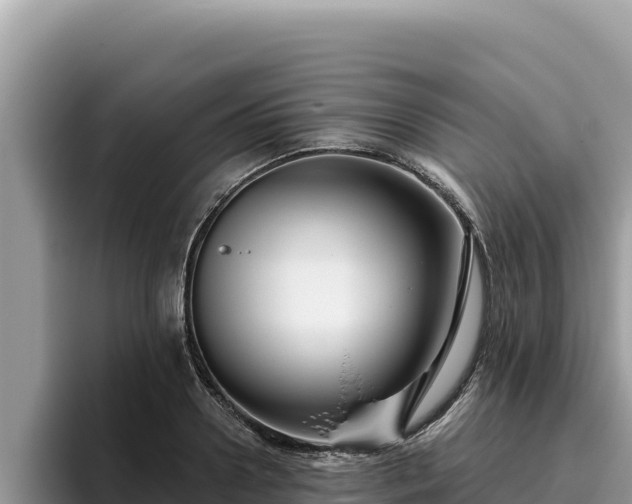 X0000095900938200801181243