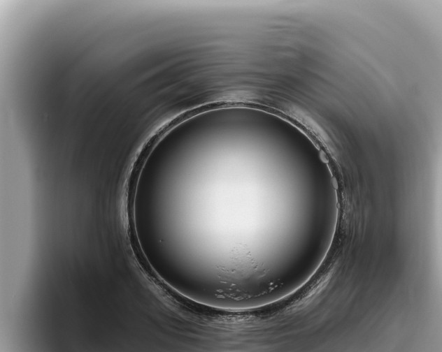 X0000095900939200801181243