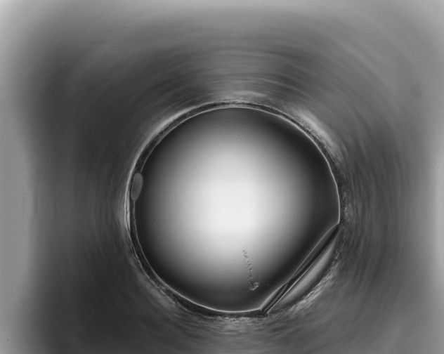 X0000095900940200801181243