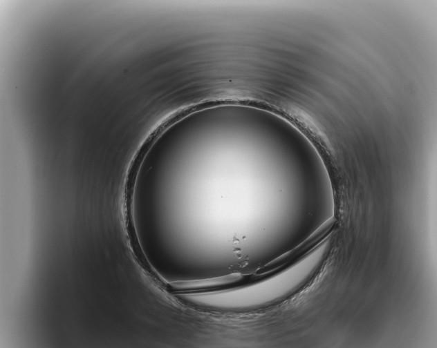 X0000095900942200801181243