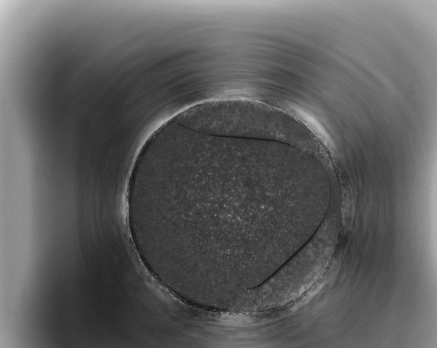 X0000095900944200801181243