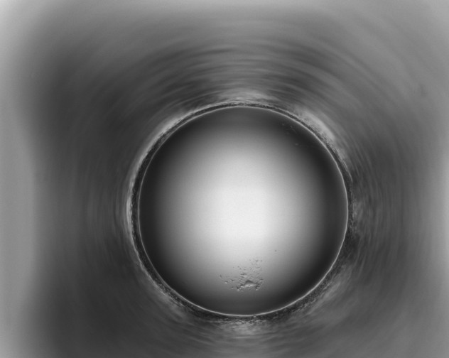 X0000095900947200801181243