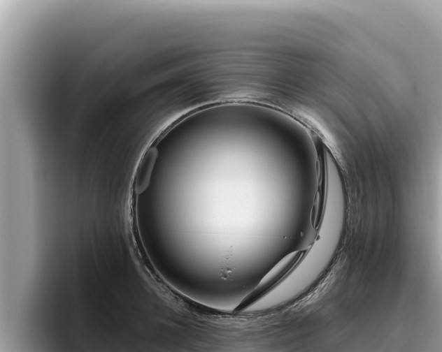 X0000095900948200801181243