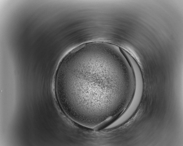 X0000095900952200801181243