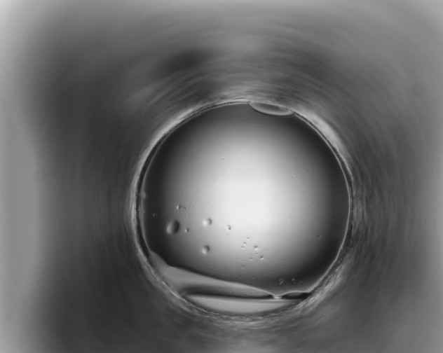 X0000095900957200801181243