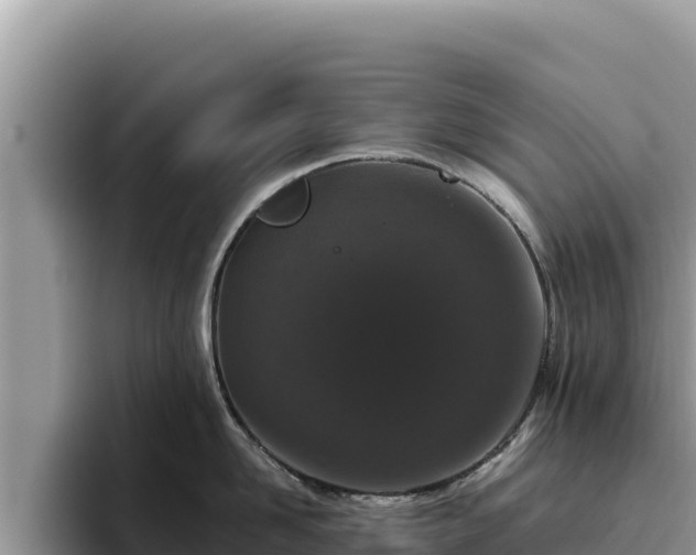 X0000095900958200801181243