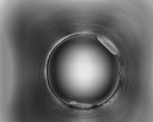 X0000095900959200801181243