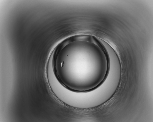 X0000095900960200801181243