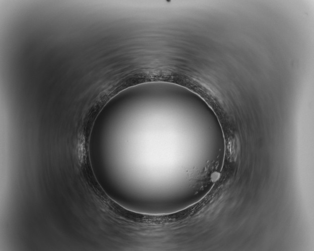 X0000095900963200801181242