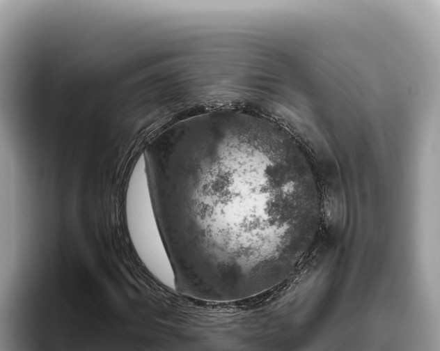 X0000095900964200801181242