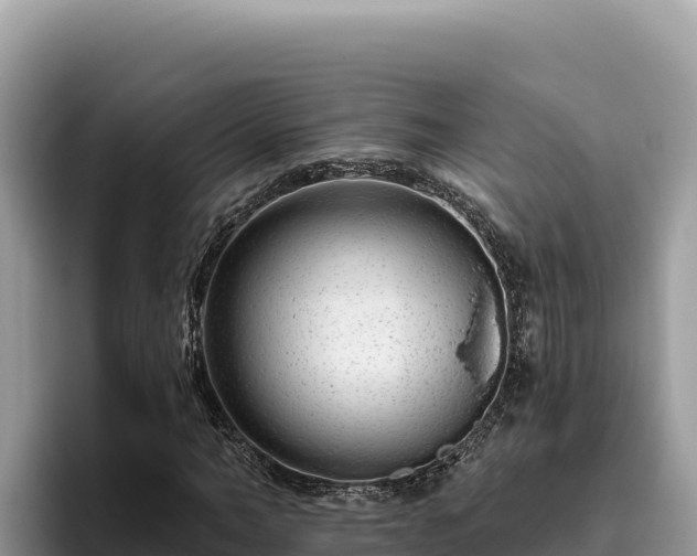 X0000095900966200801181242