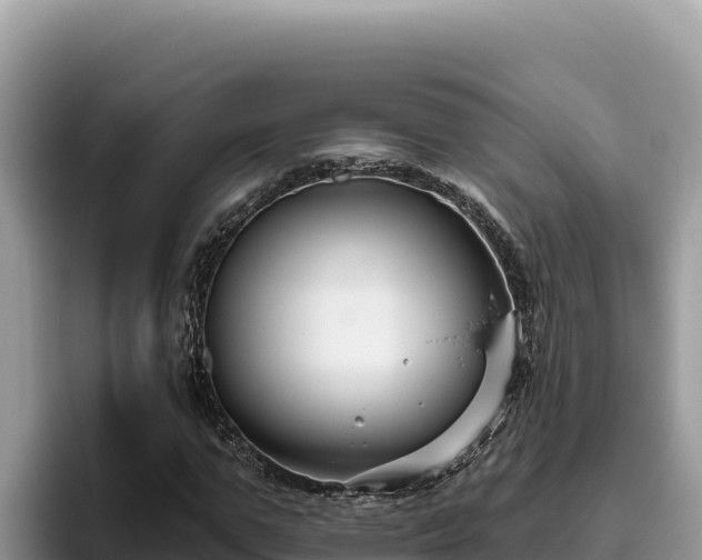 X0000095900967200801181242