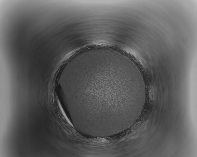 X0000095900968200801181242