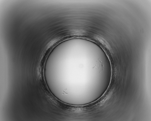 X0000095900970200801181242